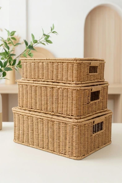 Digithome 3'lü Kapaklı Hasır Rattan Organizer Sepet - BB6065 ürün görseli 1