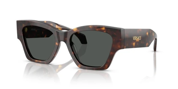 Versace 0VE4492U 108/87 53 Asetat Kadın Güneş Gözlüğü ürün görseli 1