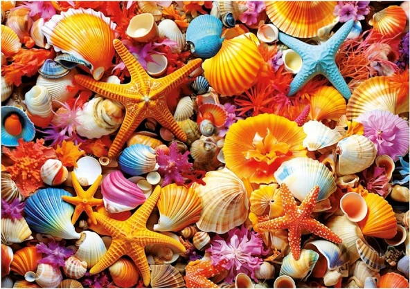 Educa 20246 Puzzle - 1000 Parça Deniz Kabuğu Kolajı Yapboz - Shell Collage ürün görseli 1