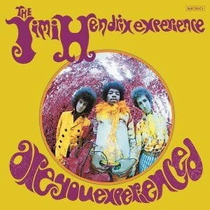 The Jimi Hendrix Experience Are You Experienced LP Plak ürün görseli 1