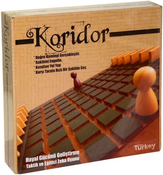 LABİRENT (HOLL) KORİDOR AKIL VE ZEKA OYUNU) ürün görseli 1