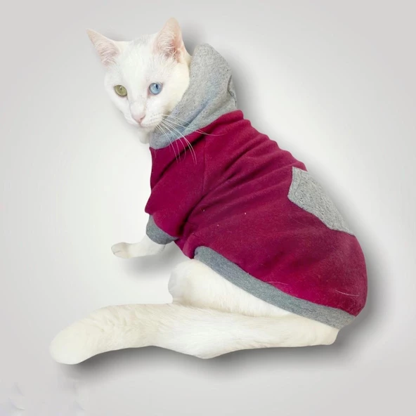 Burgundy Gray Kapşonlu Sweatshirt  Kedi Kıyafeti ürün görseli 1