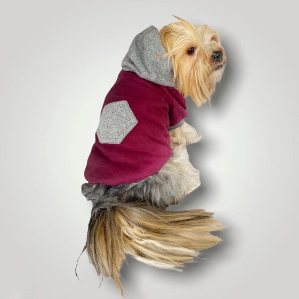 Burgundy Gray Kapşonlu Sweatshirt Köpek Kıyafeti ürün görseli 1