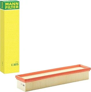 Mann-Filter Hava Filtresi C 3875 ()