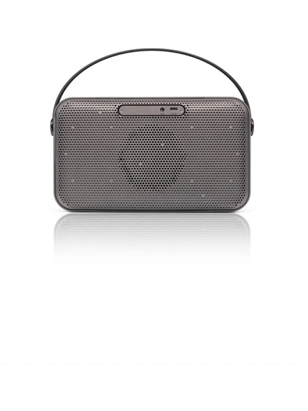 Thonet & Vander Ziegel 30W RMS Taşınabilir Bluetooth Gri Renk Hoparlör ürün görseli 1