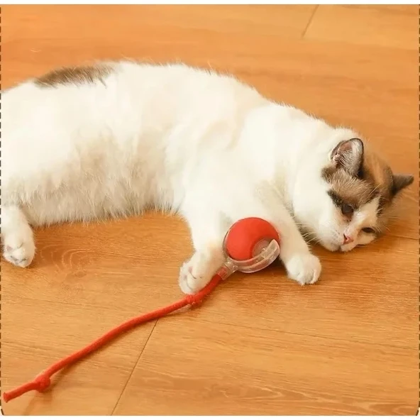 Şarjlı Kedi Oyuncağı - Resim 5