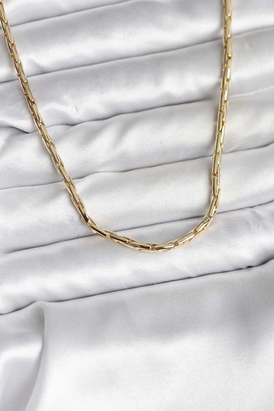 14K Gold Renk Kaplama Model CM Kadın Kolye ürün görseli 1