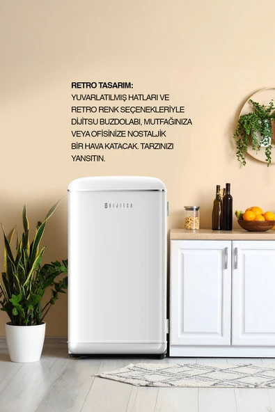 Dijitsu DB120RWH Retro Beyaz Mini Buzdolabı - Resim 3