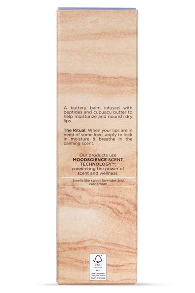 Being Frenshe Lavender Cloud Dudak Balmı 10ML - Resim 2