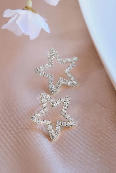 Silver Zirkon Taşlı Yıldız Şekilli Küpe - Resim 3