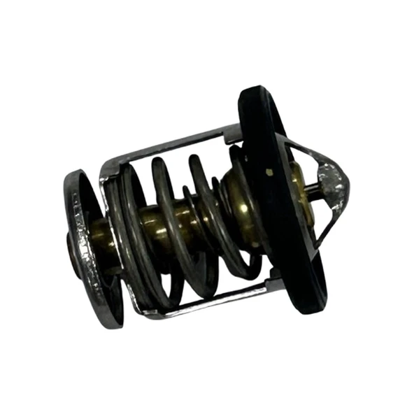 TERMOSTAT NS-RS A 0000000004811 ürün görseli 1