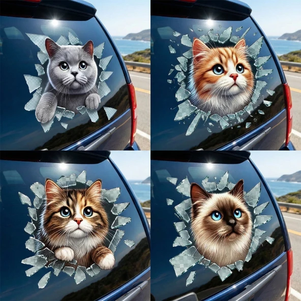 Periboia Fulcar Kedi Tasarımlı Araç Stickerı ürün görseli 1