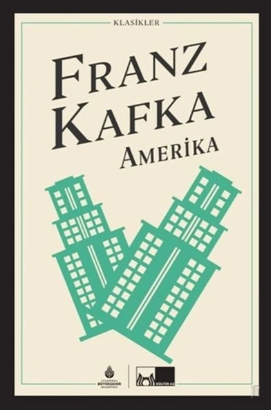 Amerika ürün görseli 1
