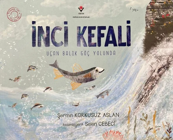 İnci Kefali ürün görseli 1