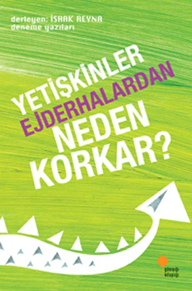 Yetişkinler Ejderhalardan Neden Korkar? ürün görseli 1