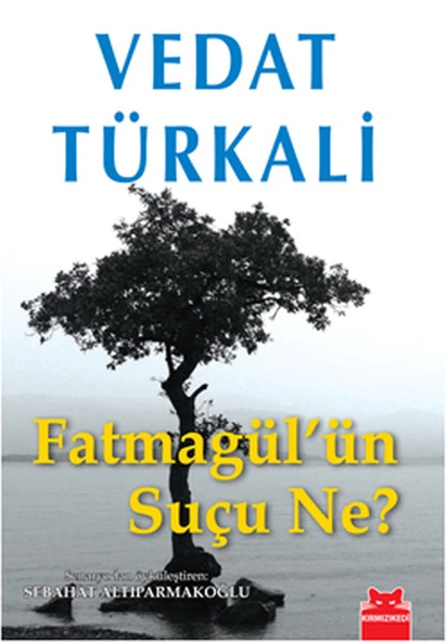 Fatmagül'ün Suçu Ne? ürün görseli 1