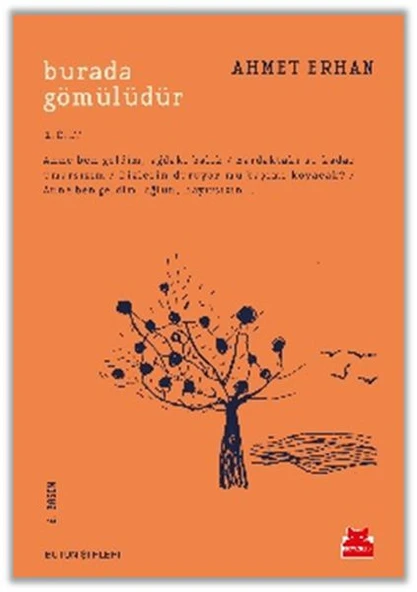 Burada Gömülüdür 1. Cilt ürün görseli 1