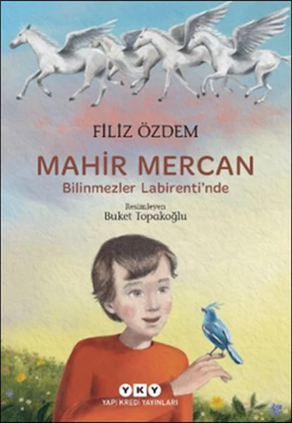 Mahir Mercan - Bilinmezler Labirenti’nde ürün görseli 1