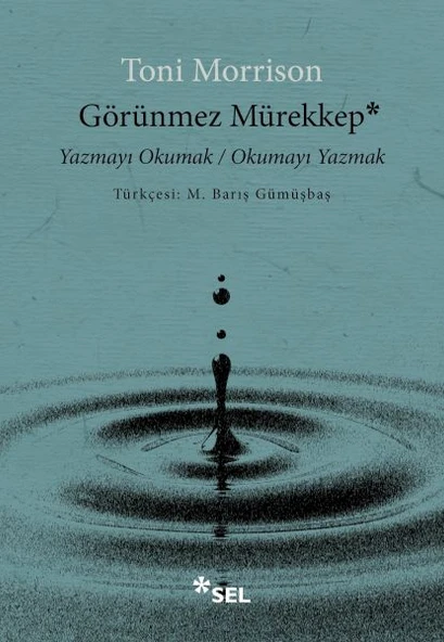 Görünmez Mürekkep Yazmayı Okumak / Okumayı Yazmak ürün görseli 1