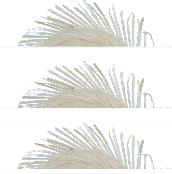 Tropikal Parti Beyaz Hasır Hawaii Şapkası 13x36 Cm ürün görseli 1