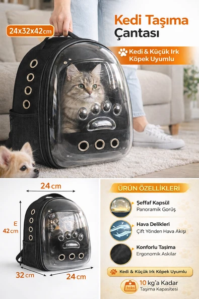 Patili Astronot Şeffaf Kapılı Taşıma Sırt Çantası 24x32x42 cm Siyah ürün görseli 1