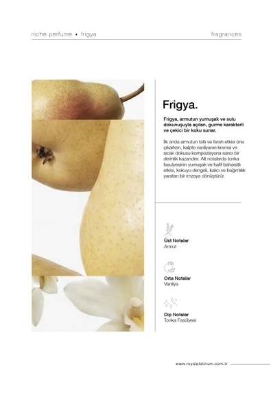 FRIGYA 100 ML NICHE PARFÜM - Resim 2