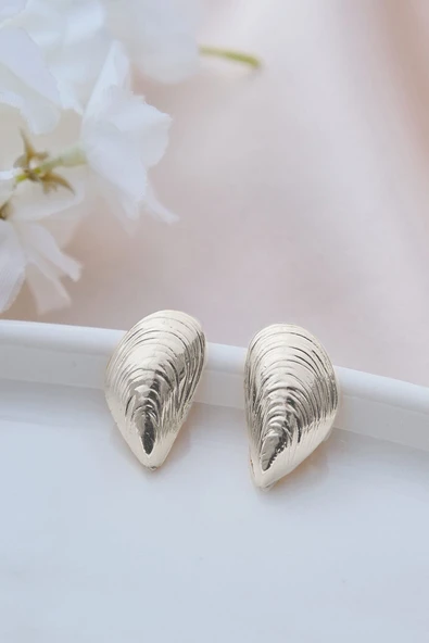Silver Çizgili Deniz Kabuğu Küpe ürün görseli 1