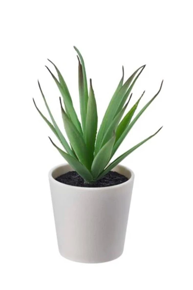 IKEA Saksılı yapay bitki, yeşil, 6 cm, kaktüs ürün görseli 1