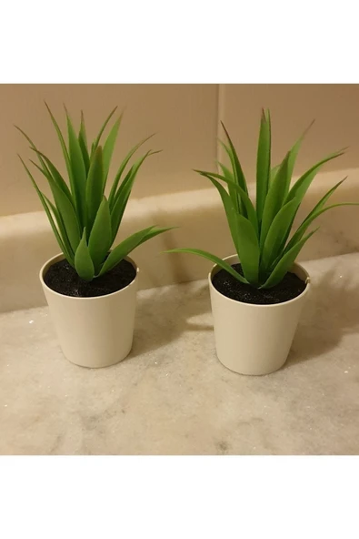 FEJKA Ikea Saksılı Yapay Bitki, Kaktüs 2'li Set ürün görseli 1
