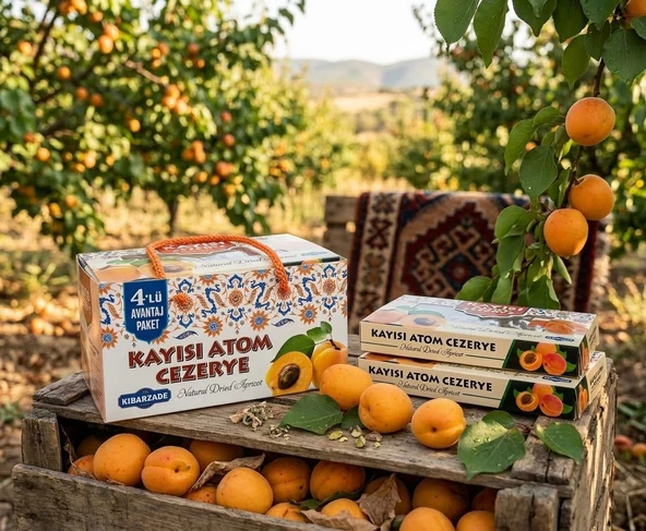 Kibarzade Kayısı Atom Cezerye 4'lü Çanta (125 gr x 4) ürün görseli 1