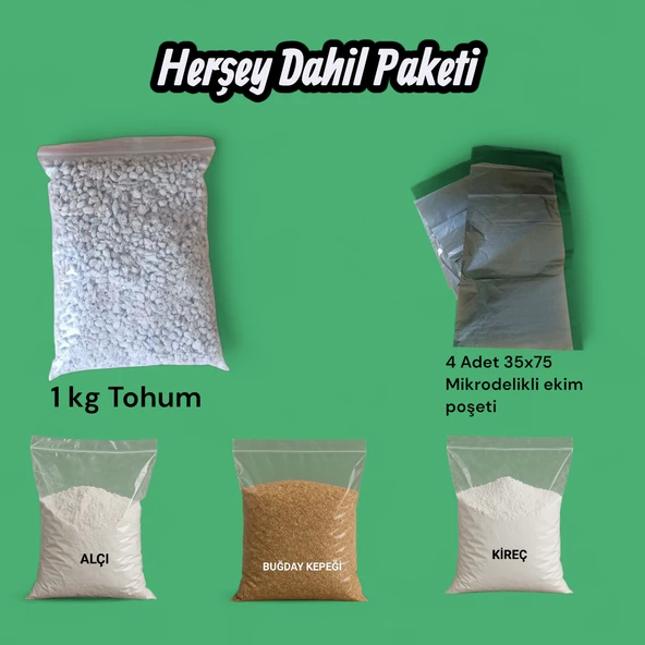 İstiridye mantar Tohumu- Herşey Dahil Paketi ürün görseli 1