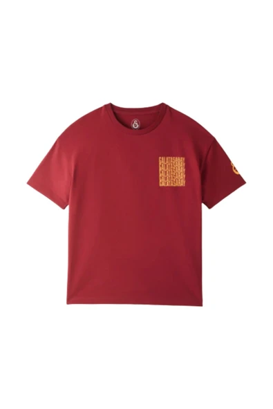 Galatasaray Çocuk T-Shirt - Resim 4
