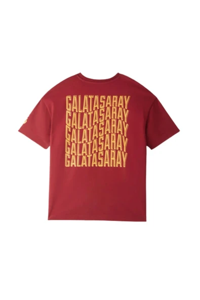 Galatasaray Çocuk T-Shirt - Resim 5
