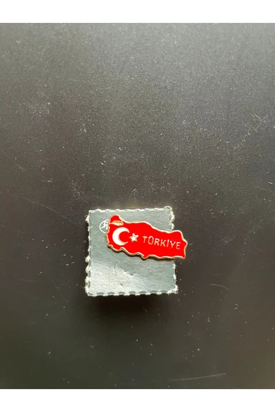 SANAT TACİRİ MİNELİ TÜRKİY TEMALI ROZET YAKA BROŞÜ ürün görseli 1