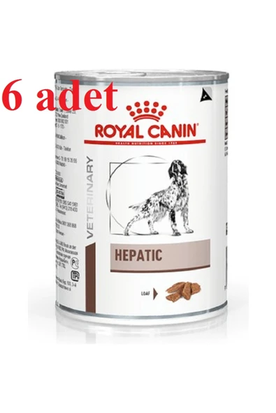 Royal Canin Hepatic Köpek Maması Konserve 6 x 420 gr ürün görseli 1