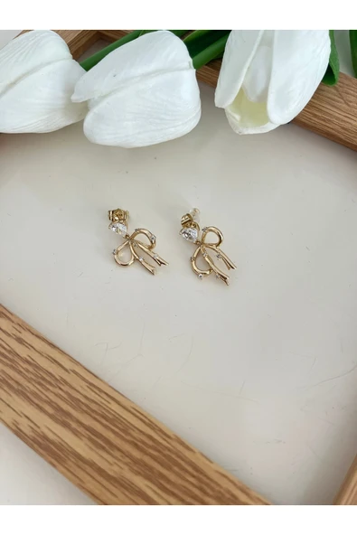 nergis collection Kadın 14K Fiyonk Küpe Çelik Küpe ürün görseli 1