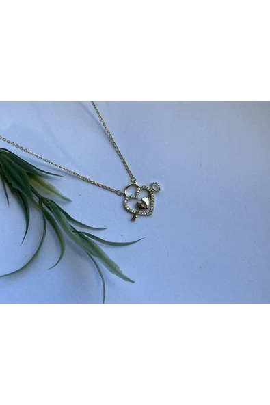 nergis collection 14 K Altın Kaplama Kadın Çelik Kalp Kolye ürün görseli 1