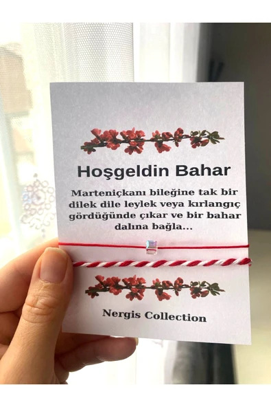 nergis collection Marteniçka Dilek Şans Bilekliği 10 lu Paket ürün görseli 1