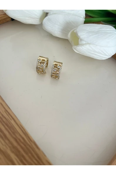 nergis collection 14K Kadın Zarif Halka Küpe Çelik Halka Xuping Küpe ürün görseli 1