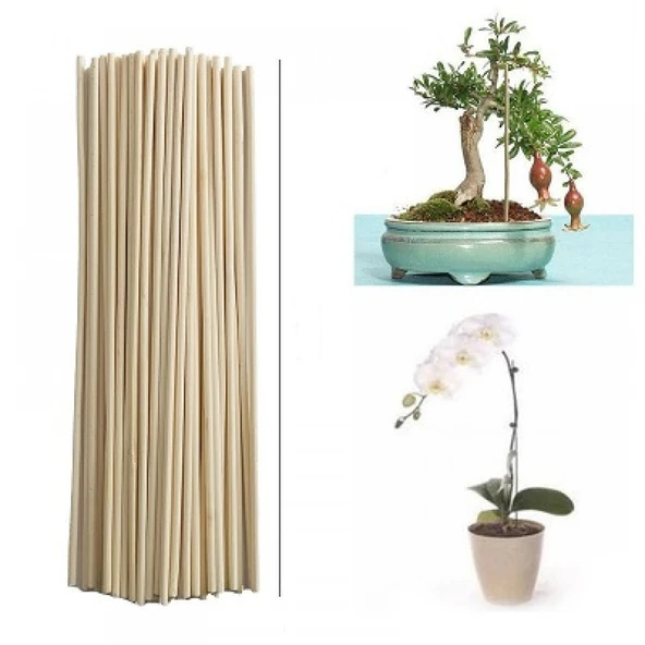 Saksı Bitkileri Destek Çubuğu 40 Cm 100 Adet ürün görseli 1