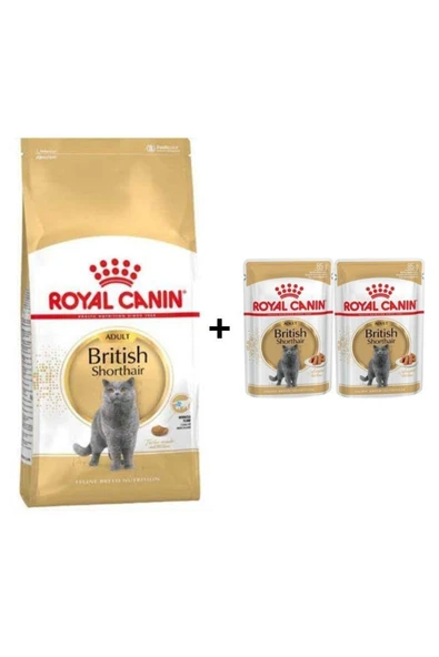 Royal Canin British Shorthair Yetişkin Kedi Maması 2 Kg + 2 Adet Yaş Mama Hediye ürün görseli 1