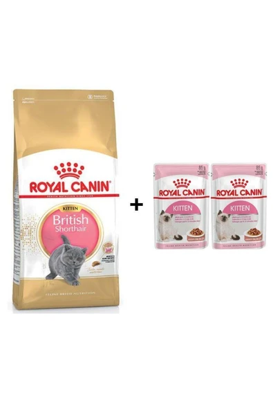 Royal Canin Kitten British Shorthair Yavru Kedi Maması 2 Kg + 2 Adet Yaş Mama ürün görseli 1
