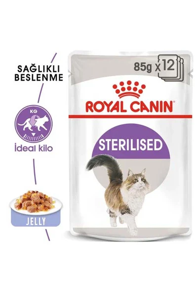Royal Canin Sterilised Jelly Yetişkin Kedi Konserve Maması 85 Grx12 Ad ürün görseli 1