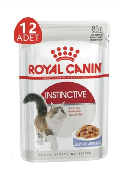 Royal Canin Kedi Maması 85 gr X 12 Adet Instınctive Jelly ürün görseli 1