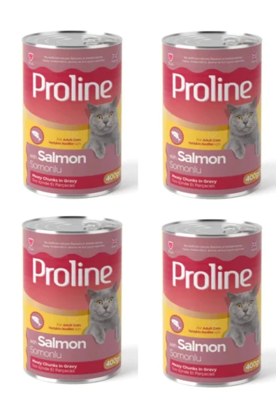 Lider Proline Somonlu Yetişkin Kedi Konservesi 400 Gr*4 Adet ürün görseli 1