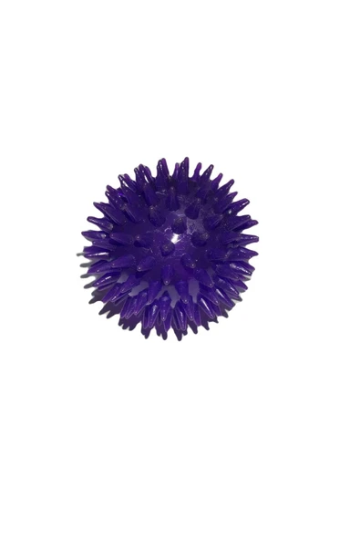 antares pet Işıklı Kirpi Top Oyuncağı Kedi Köpek Mor ürün görseli 1
