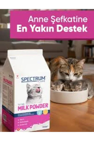 petdost Spectrum Yavru Kediler Için Taurin ve Multivitaminli Süt Tozu 150G ürün görseli 1