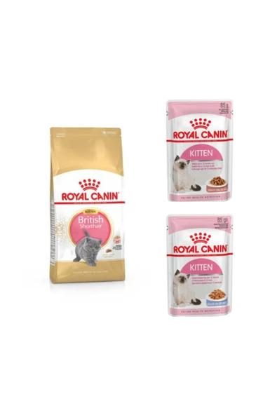 Royal Canin British Shorthair Yavru Kedi Maması 2 Kg + 2 Adet Kitten Pouch Yaş Mama 85gr ürün görseli 1
