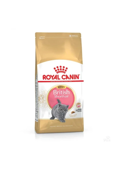 Royal Canin Kitten British Shorthair Yavru Kedi Maması 2Kg ürün görseli 1