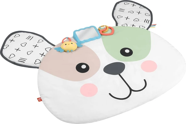 Fisher-Price Yenidoğanlar Için Karın Üstünde Oynama Oyuncağı, Sevimli Köpekçik Büyük Oyun Minderi Ve ürün görseli 1